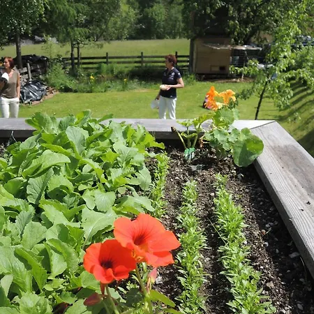 Basti * Forstau (Salzburg)