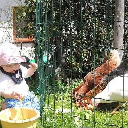 Basti Forstau (Salzburg)