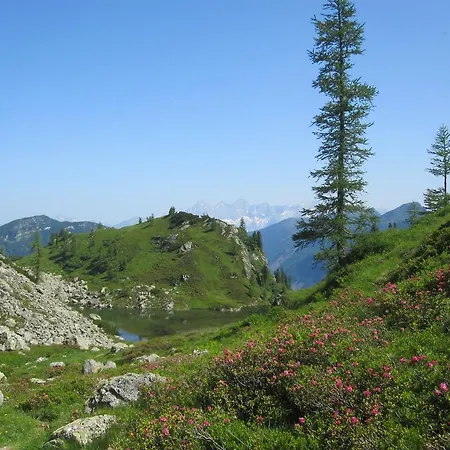 Basti Forstau (Salzburg)