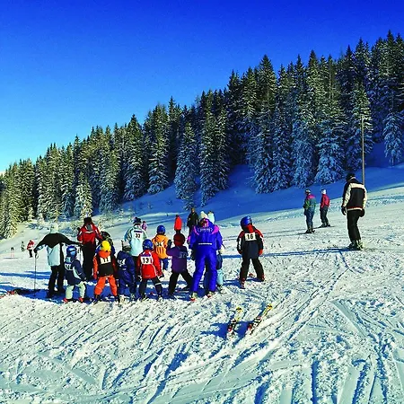 Basti Форстау
