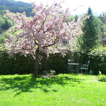 Apartament Basti