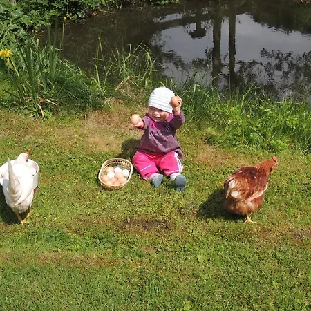 Basti Apartmán Forstau (Salzburg)